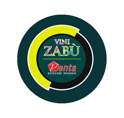 Vini Zabu Pro Cycling Team